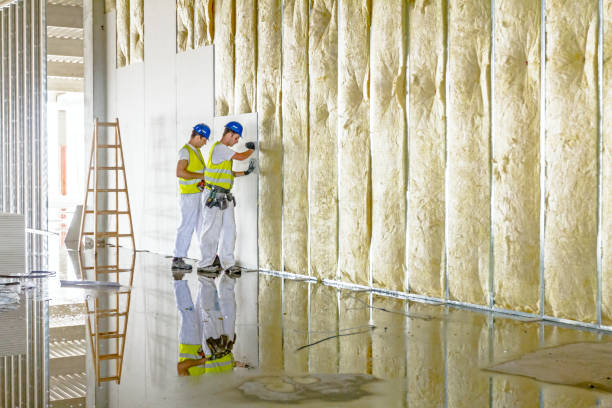 Best Commercial Insulation in Sylvan Lake, MI